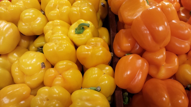 fresh bell peppers capcicums
