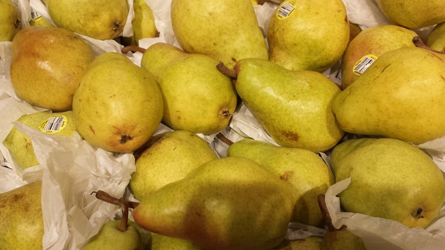 pears from farm