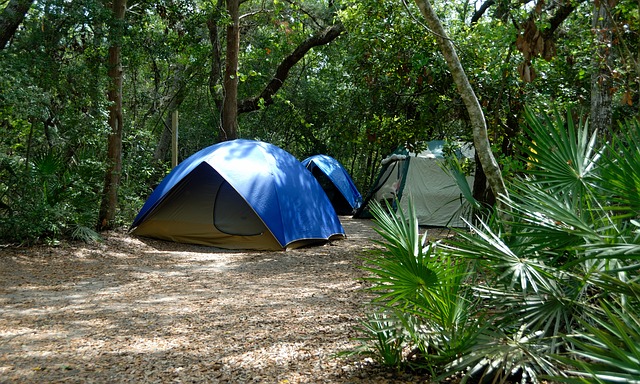 start a primitive campground