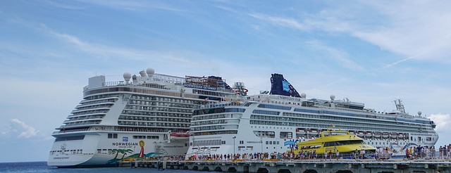 cruise holidays franchise info