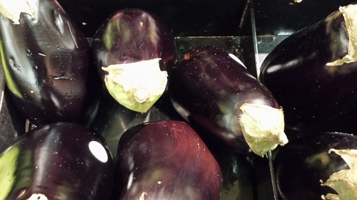 eggplant farming