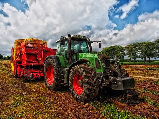 farming ideas for south africans