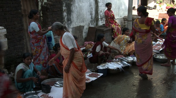 fish market