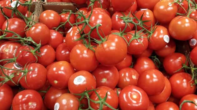 fresh tomatoes from the farm