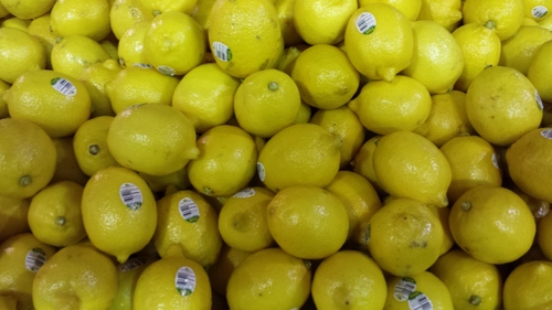 lemon farm