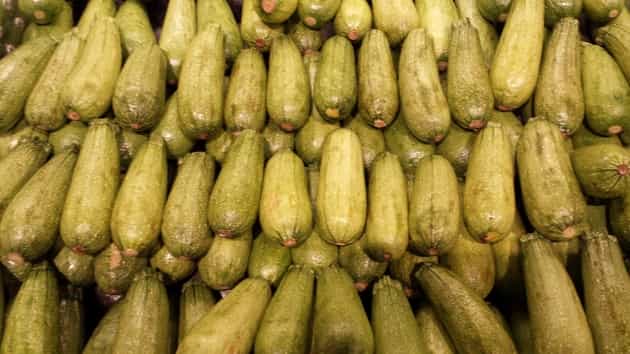 locally grown zucchini squash