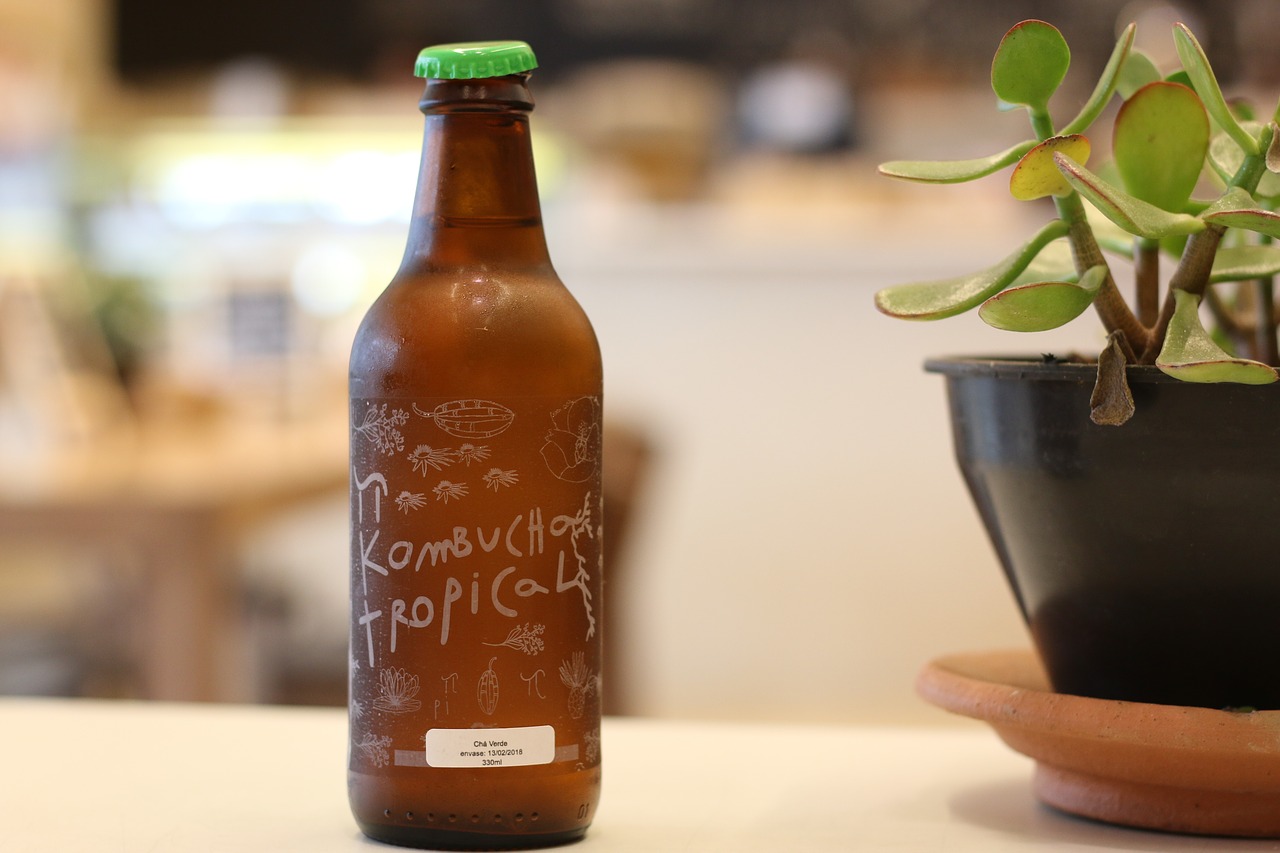 turn a home brew kombucha hobby into a business