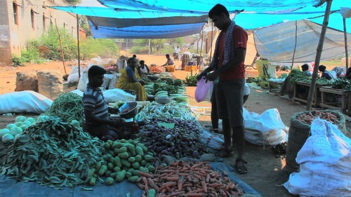 vegetable business