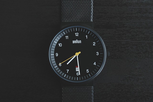 watch company